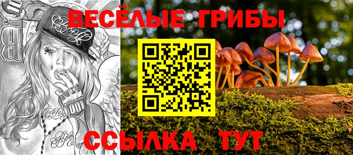 Галлюциногенные грибы мухоморы  Вход с VPN  Заречный 