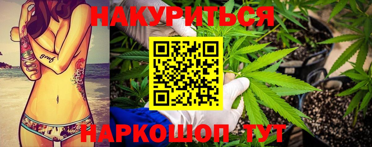 Бошки Шишки гибрид  Вход с VPN  Каннабис VHQ  Заречный  Канабис Bruce Banner 
